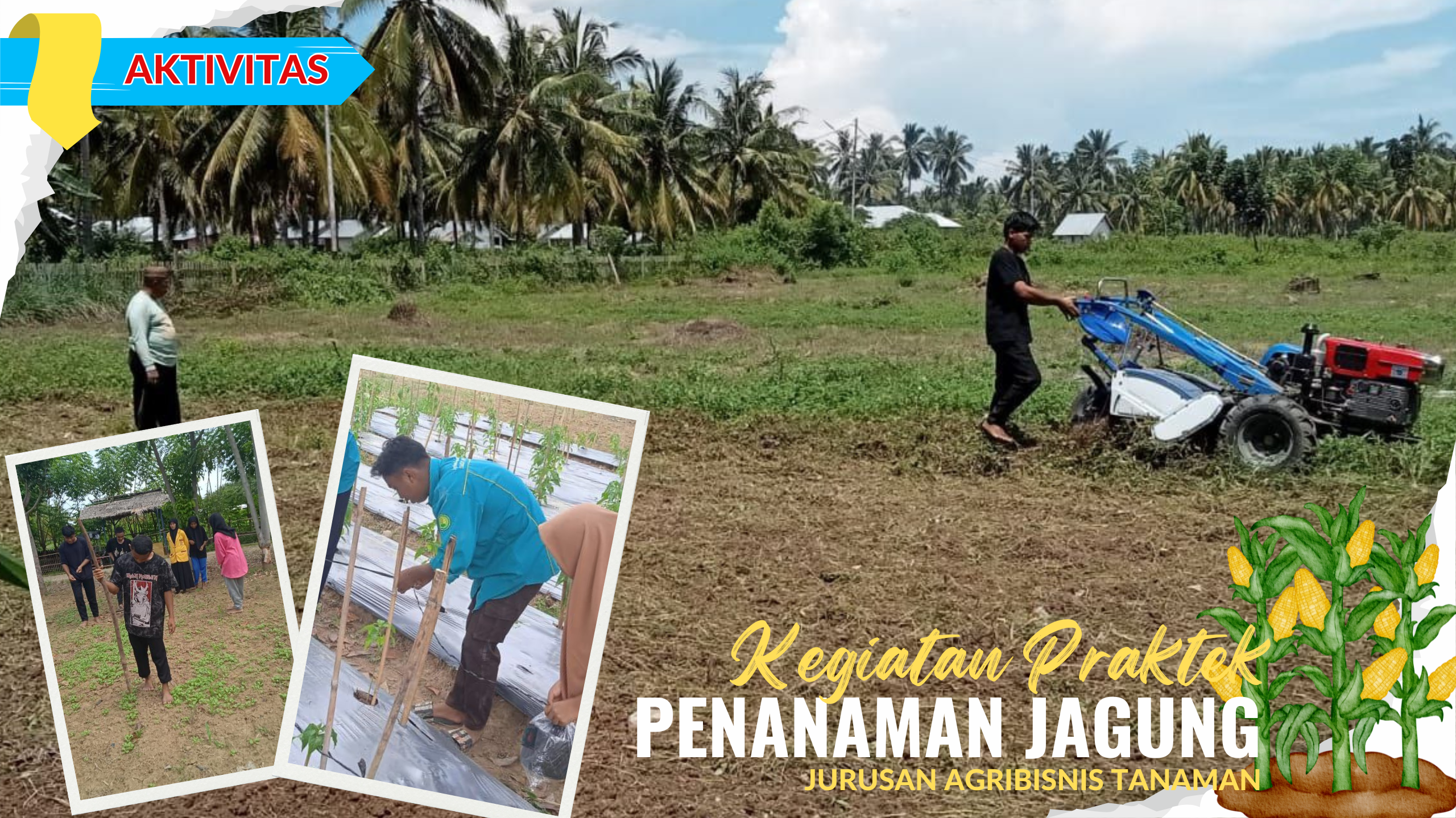 Jagung