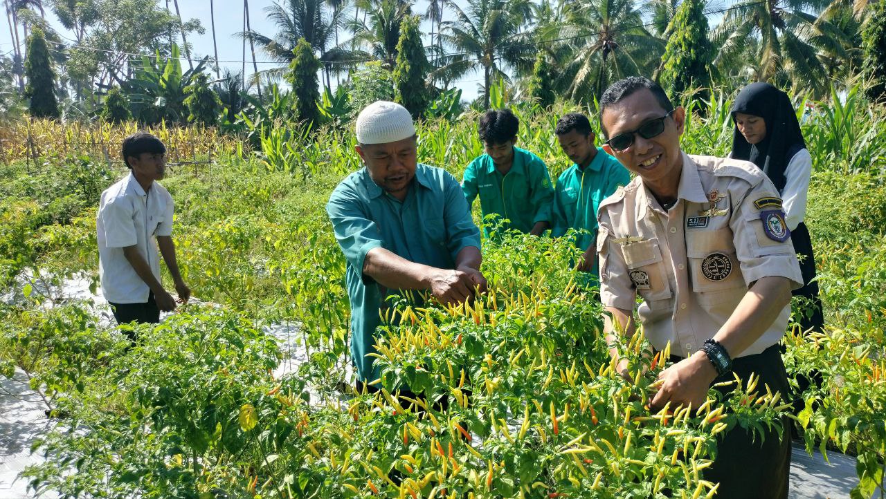 Galeri SMK Negeri 1 Popayato Timur